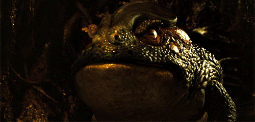 Pan’s Labyrinth